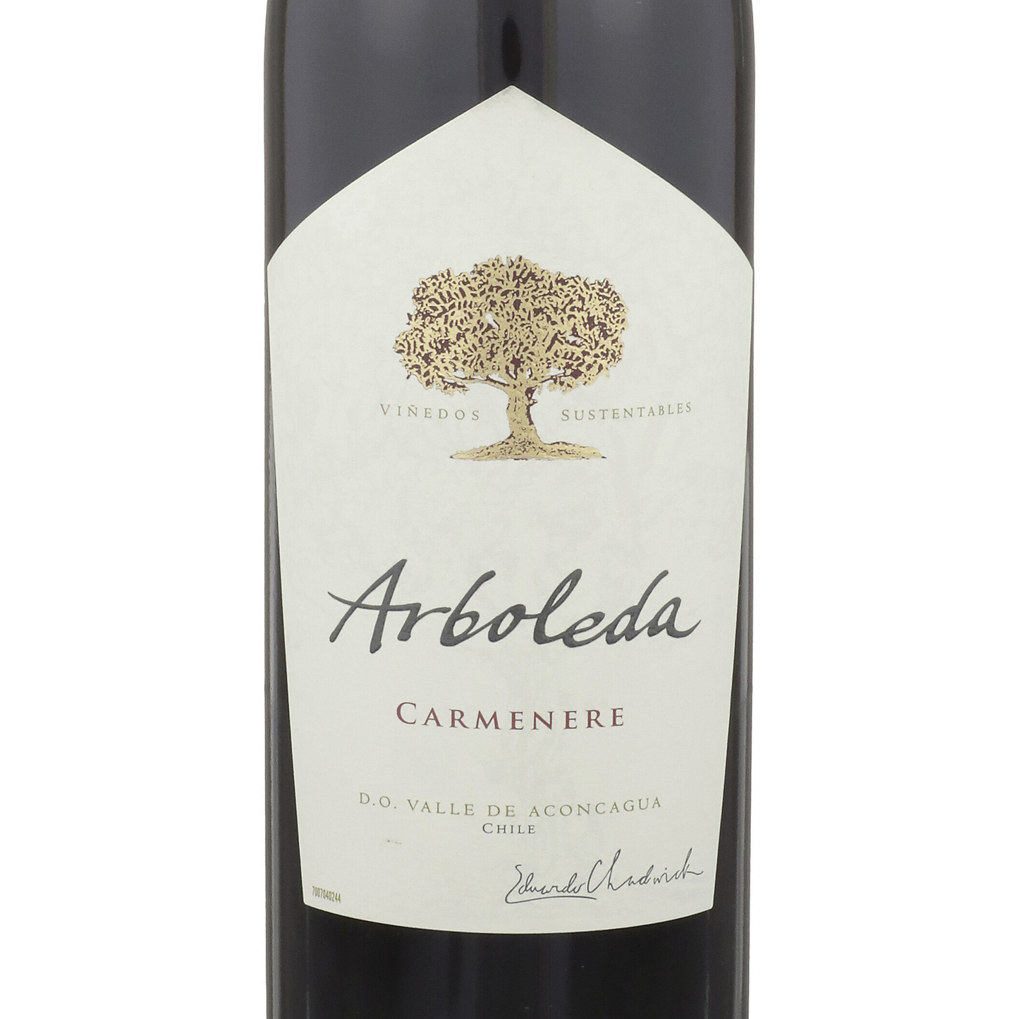 Arboleda Carmenere Aconcagua Valley 2020 750ML