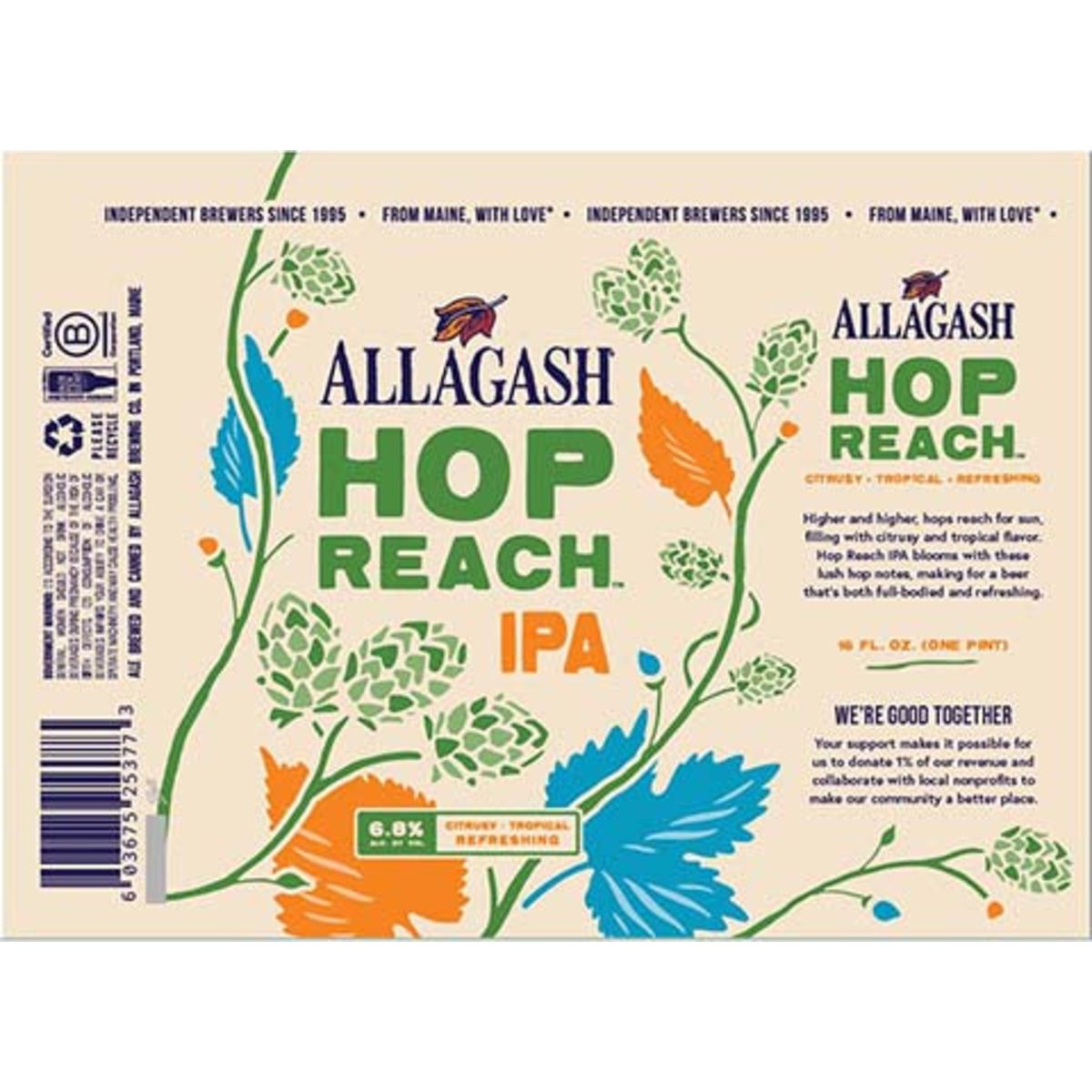 Allagash Hop Reach IPA cans