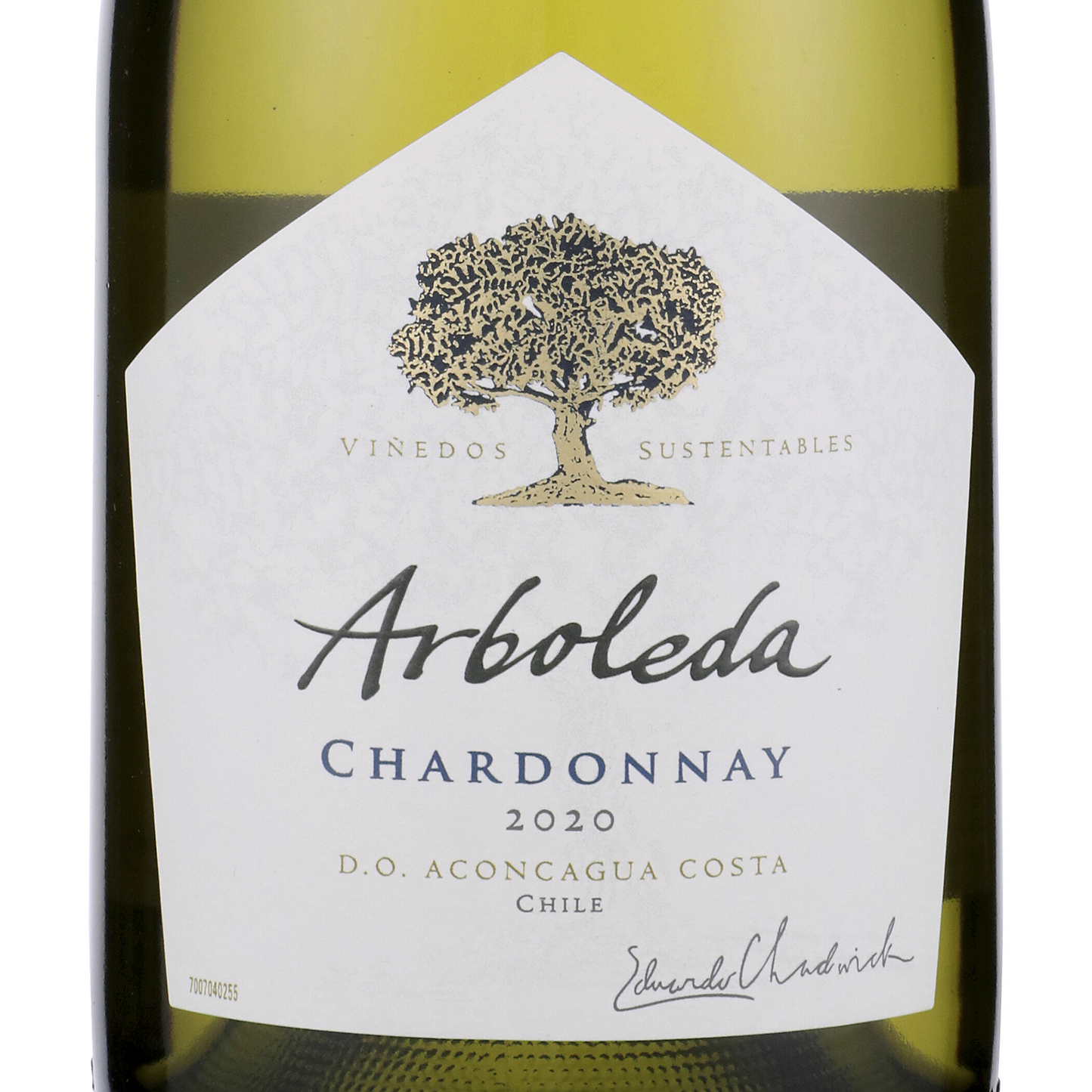 Arboleda Chardonnay Aconcagua Coast 2020 750ML