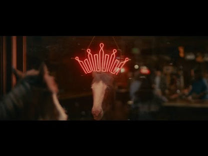 Budweiser 2x 12 Pack (16 oz Aluminum Bottles) (24 Pack)