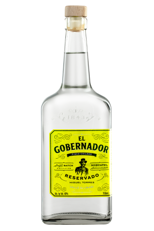 Torres El Gobernador Alej